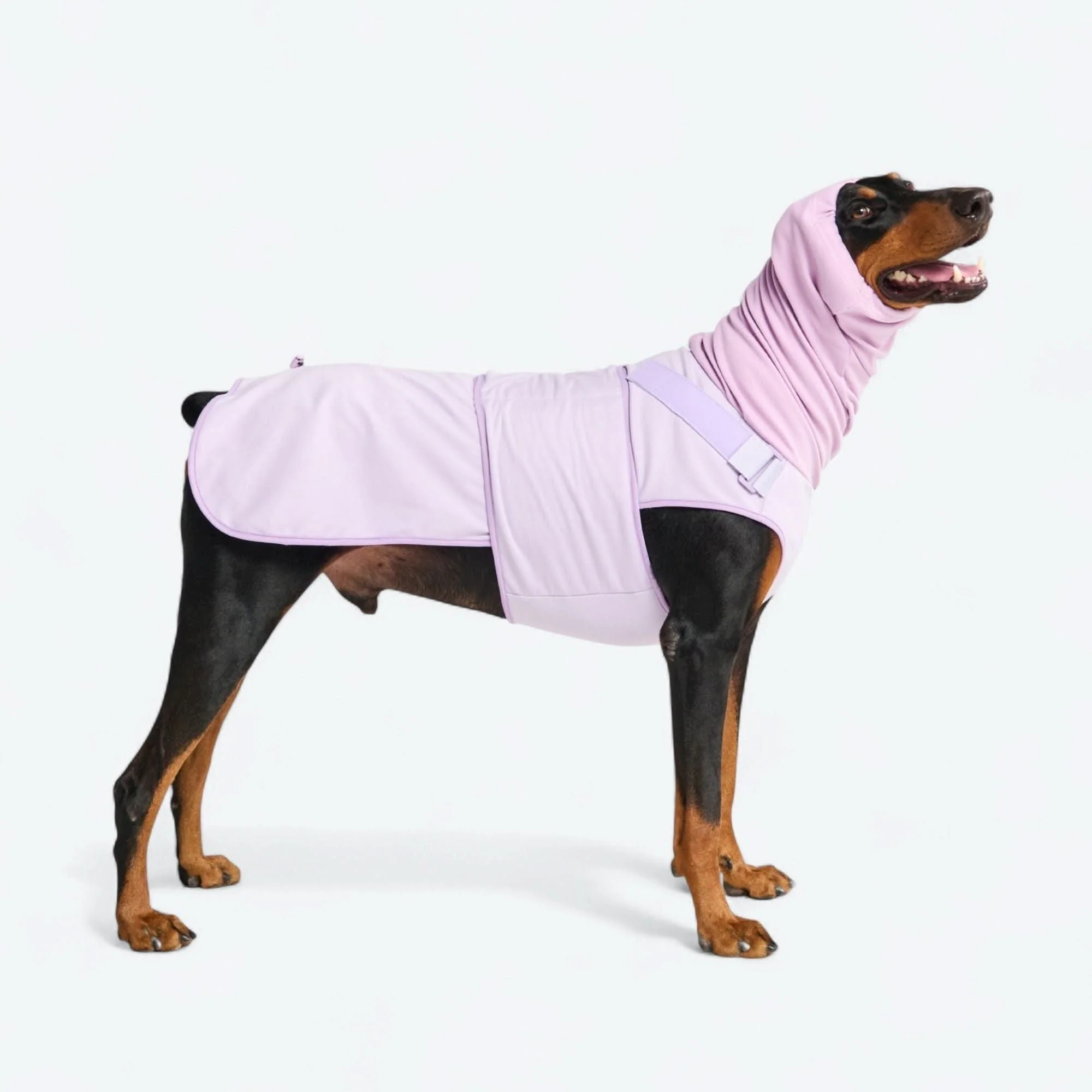 Anxiety Calming Suit - Image 9