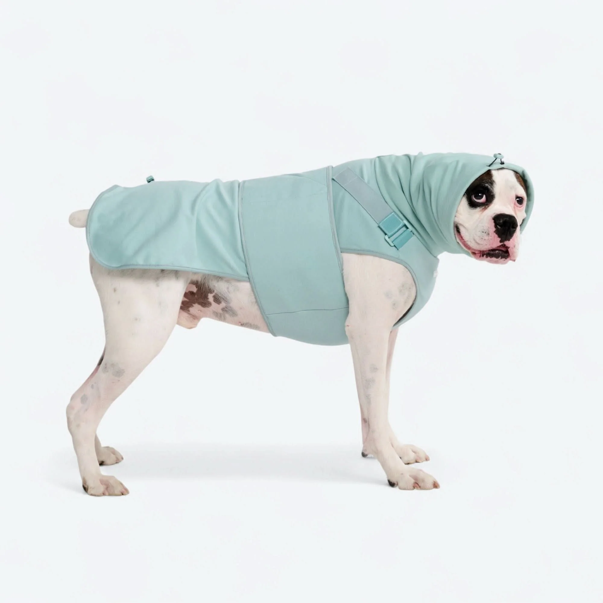 Anxiety Calming Suit - Teal - Image 3