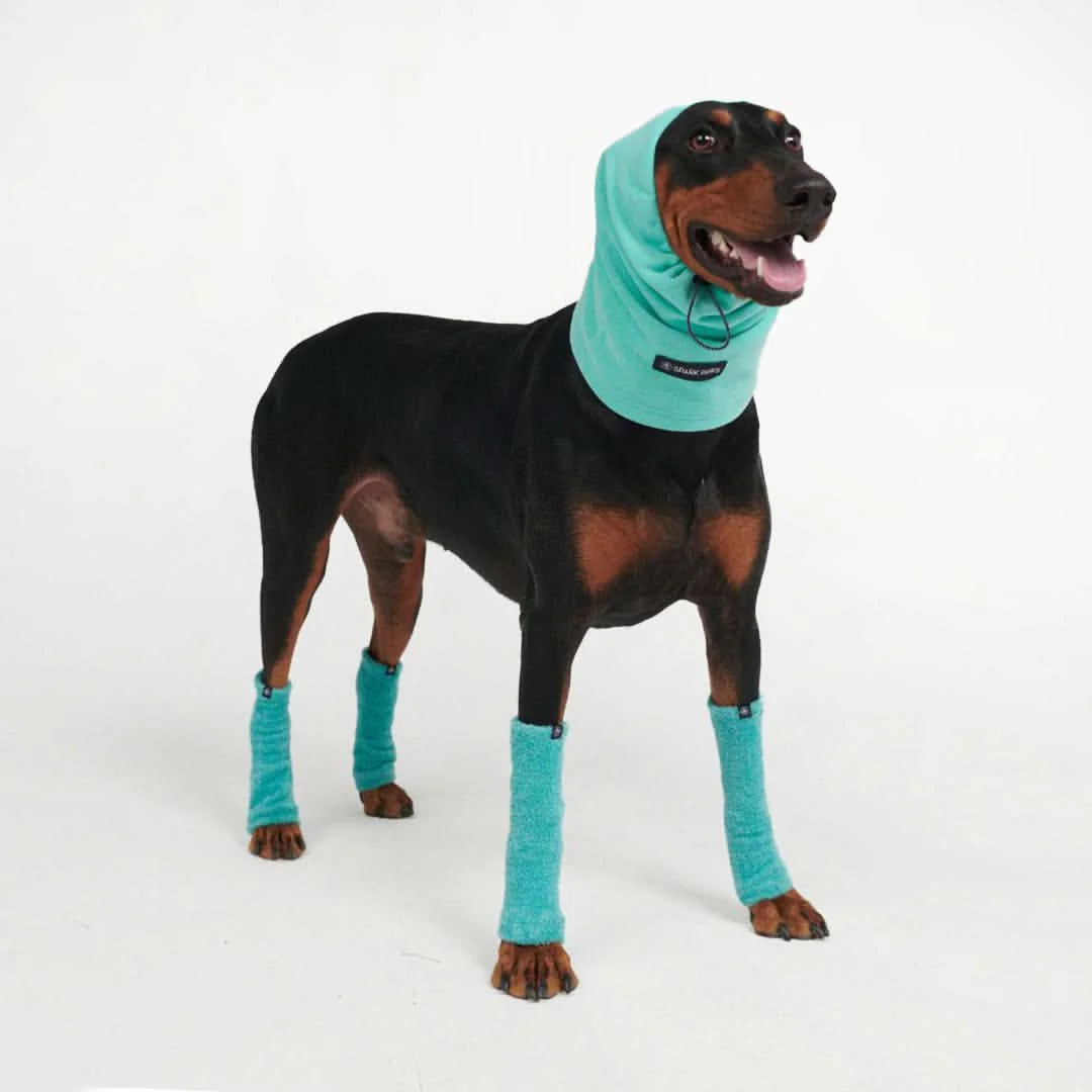 Anxiety Calming Dog Earmuff Protector - Image 11