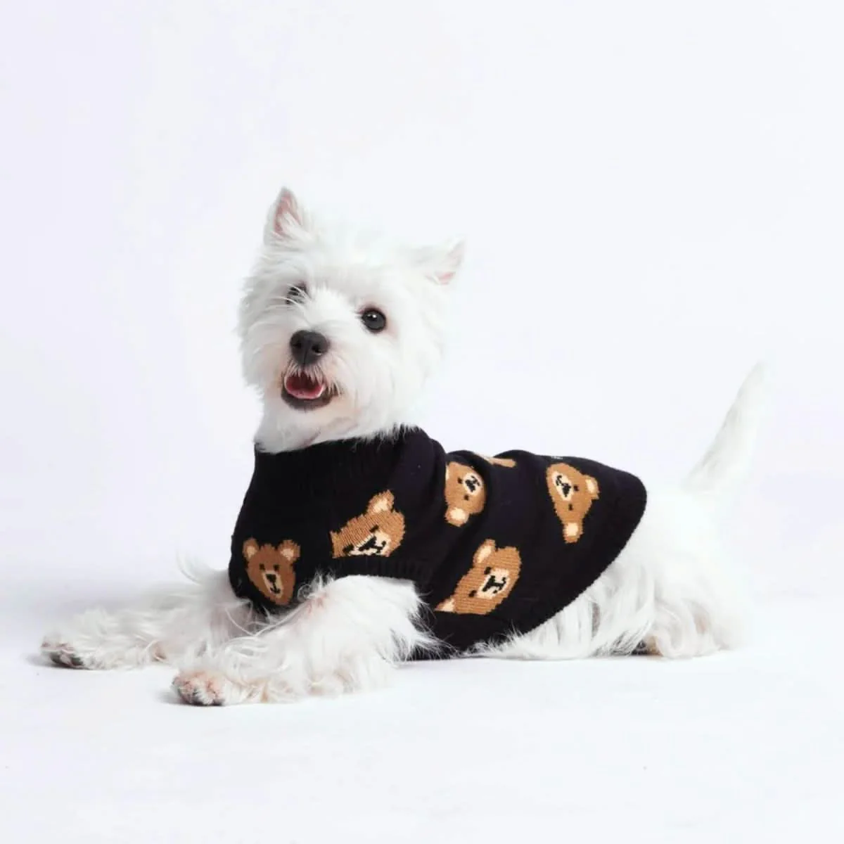 Broken Teddy Bear Knit Dog Sweater - Black - Image 4