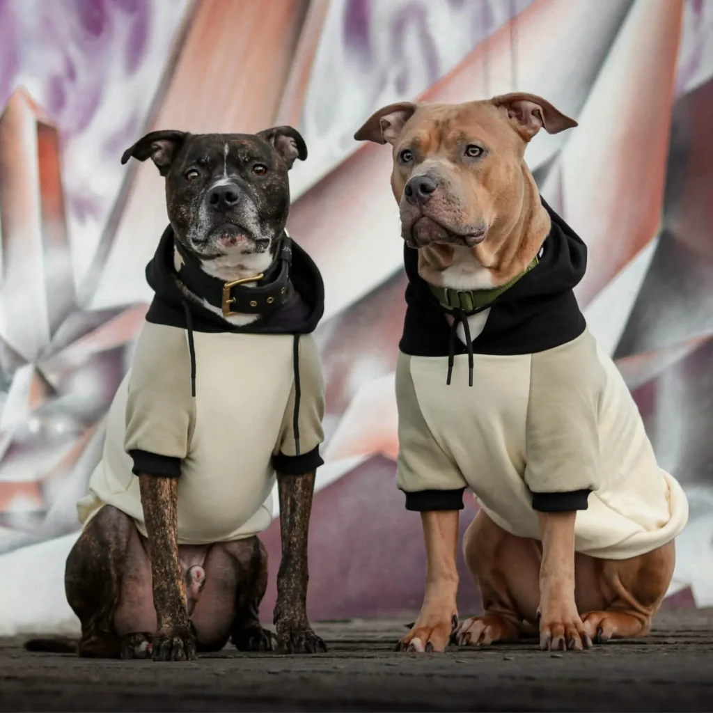 Olive Cream Dog Hoodie - Image 13
