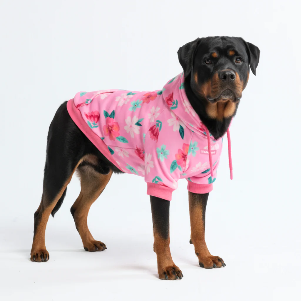 Blossom Dog Hoodie - Pink - Image 7