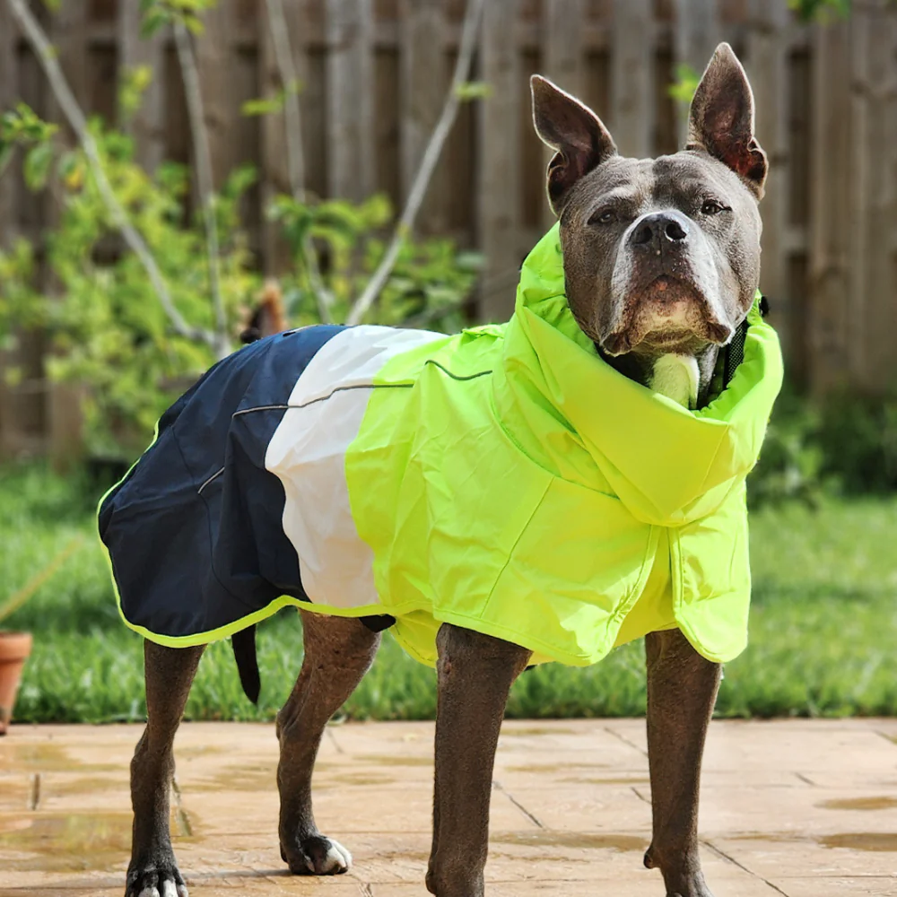 Breatheshield™ Dog Raincoat  - Lime White Navy - Image 10