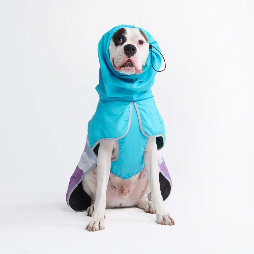 Breatheshield™ Dog Raincoat (Multi-Color) - Image 35