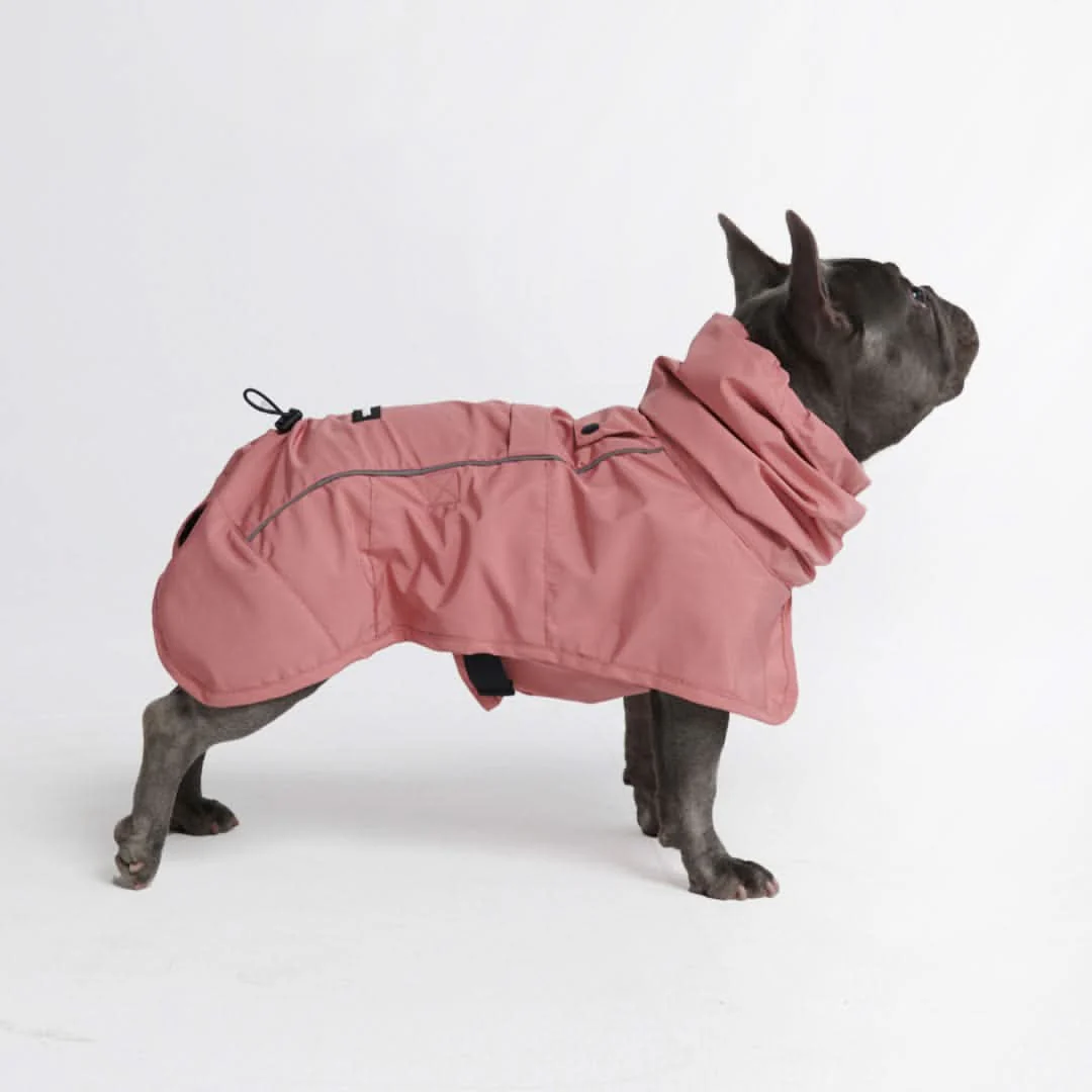 Breatheshield™ Dog Raincoat (Multi-Color) - Image 44