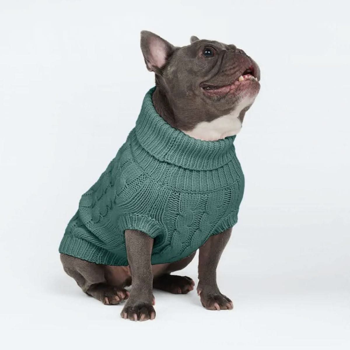 Cable Knit Dog Sweater - Pine Green - Image 6