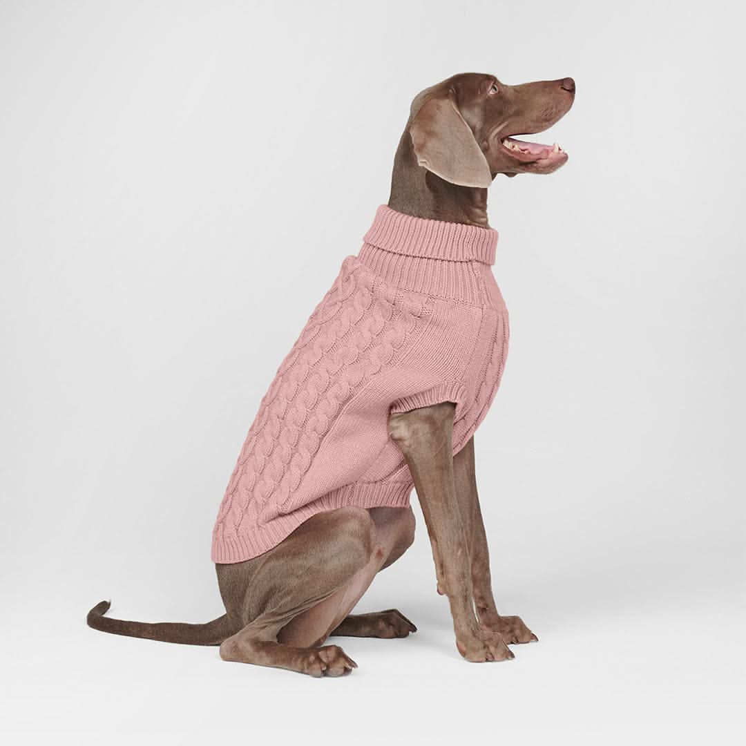 Cable Knit Dog Sweaters - Image 6