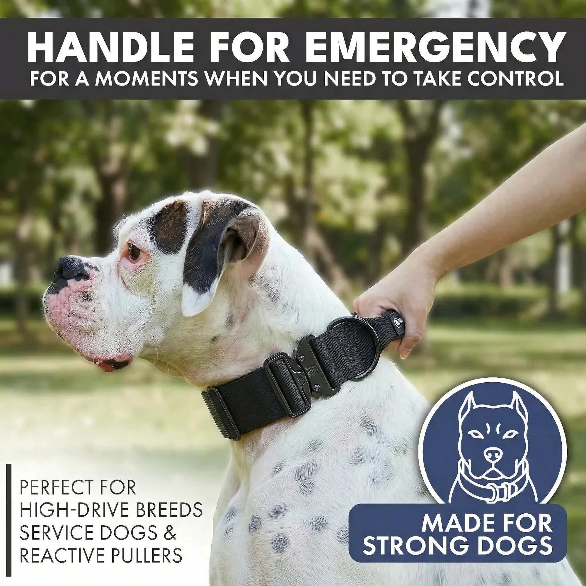 Comfort Control Collar and Multipurpose Leash Sets - Image 23