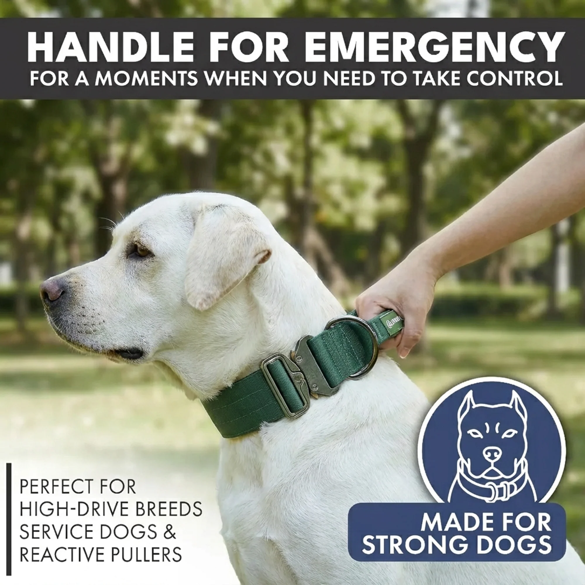 Comfort Control Collar and Multipurpose Leash Sets - Image 30