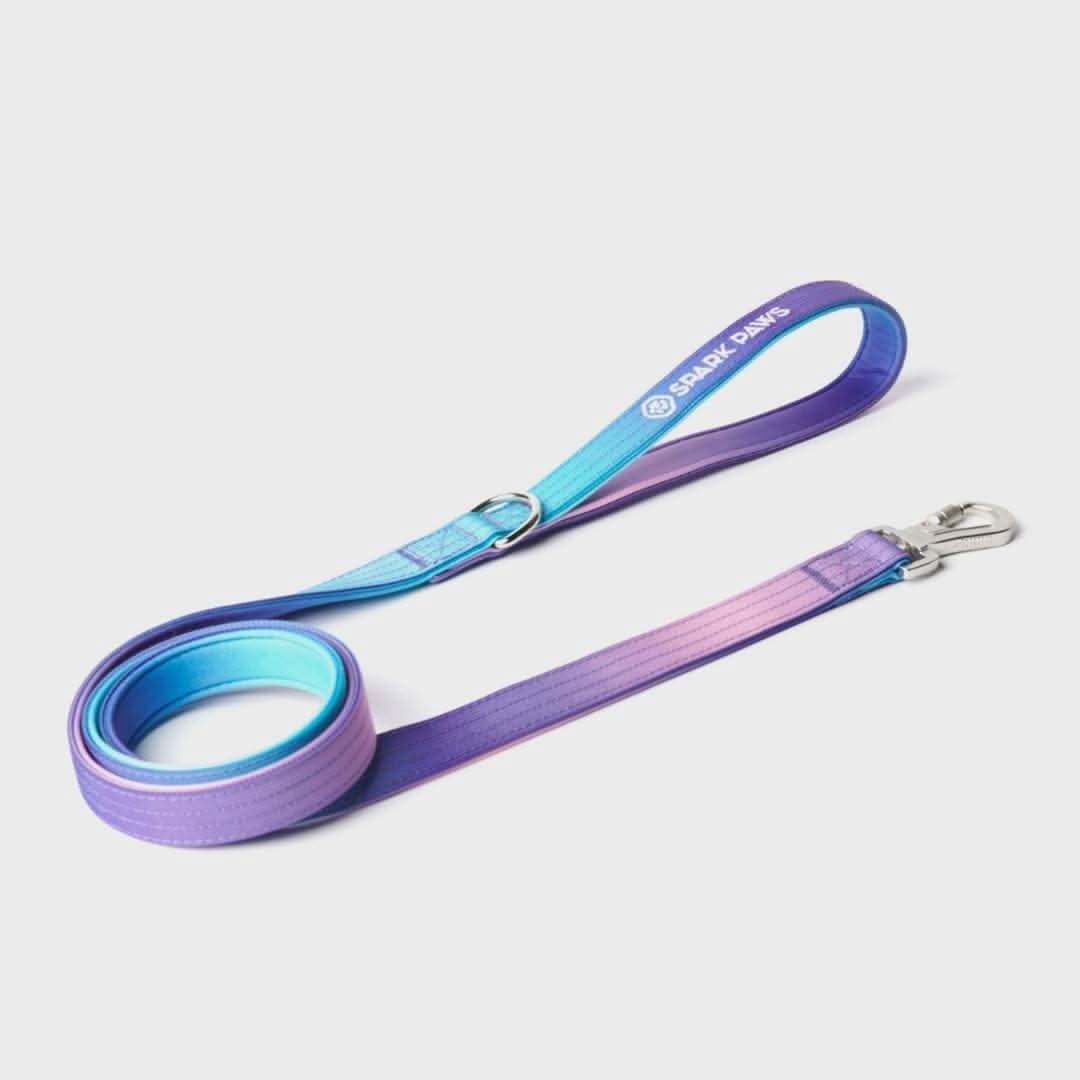 Comfort Control Dog Leash (Multi Color) - Image 6