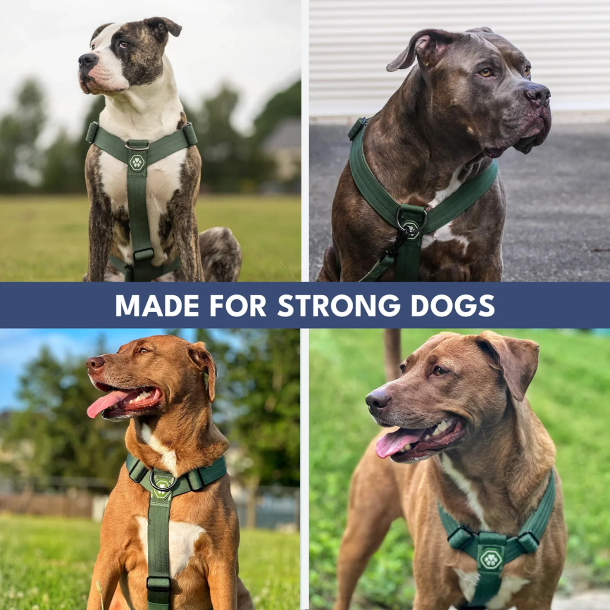 Comfort Control No-Pull Dog Harness and Multipurpose Leash Sets - Image 18