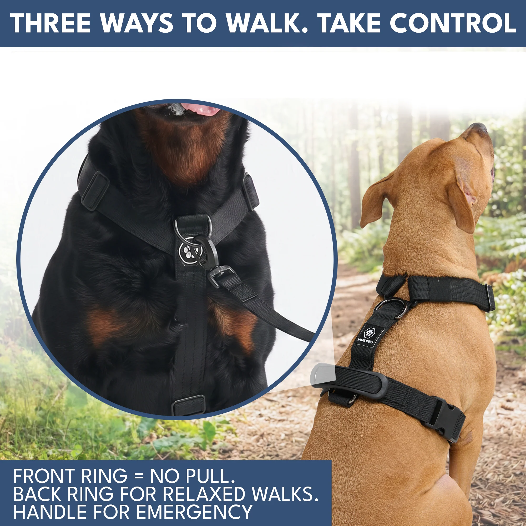 Comfort Control No-Pull Dog Harness and Multipurpose Leash Sets - Image 28