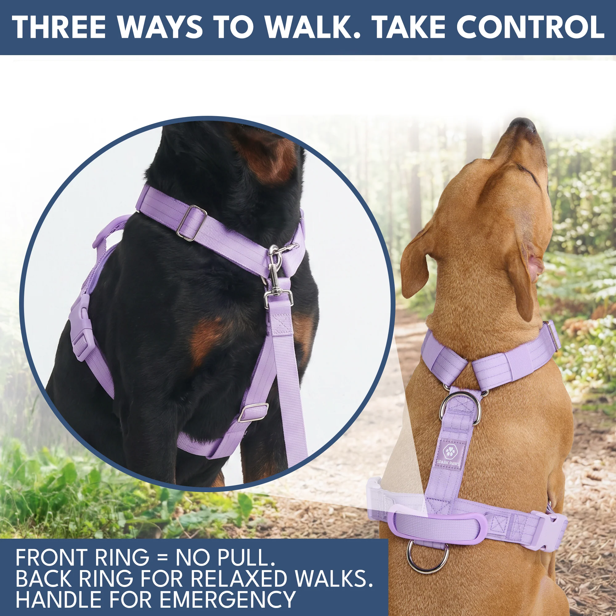 Comfort Control No-Pull Dog Harness and Multipurpose Leash Sets - Image 34