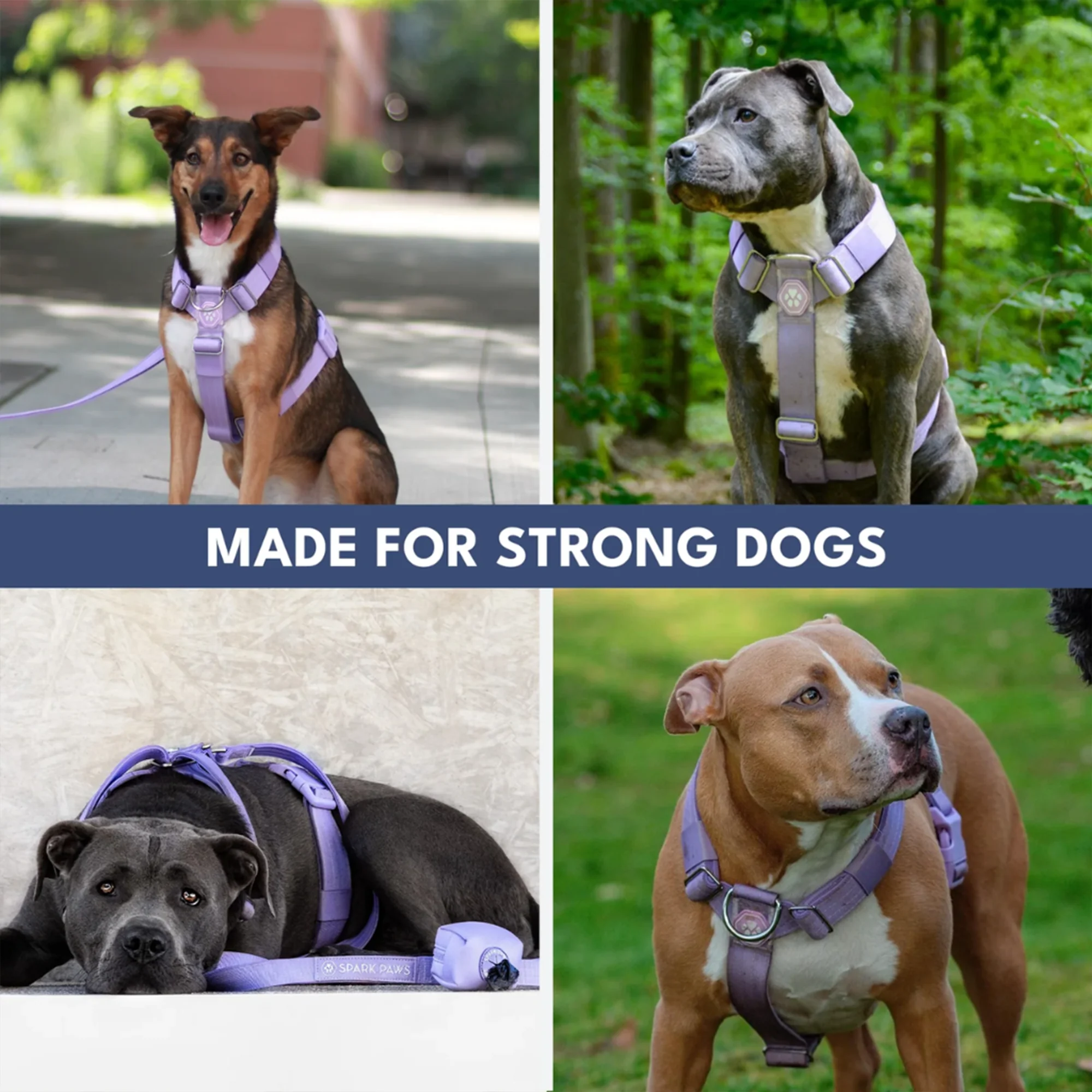 Comfort Control No-Pull Dog Harness and Multipurpose Leash Sets - Image 36