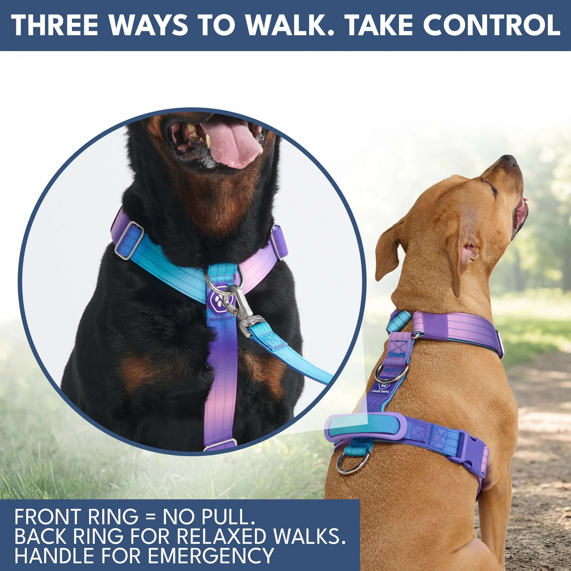 Comfort Control No-Pull Dog Harness and Multipurpose Leash Sets - Image 4