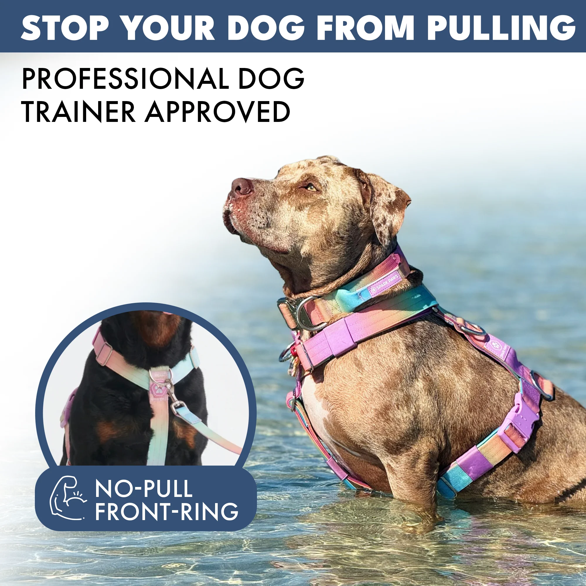Comfort Control No-Pull Dog Harnesses - Image 11