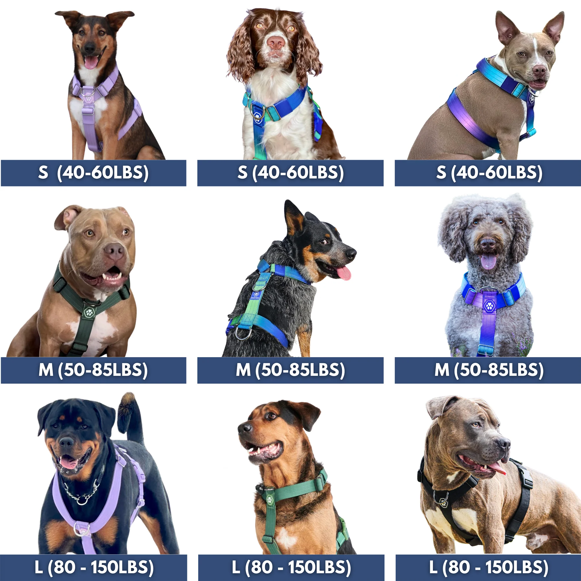 Comfort Control No-Pull Dog Harnesses - Image 14