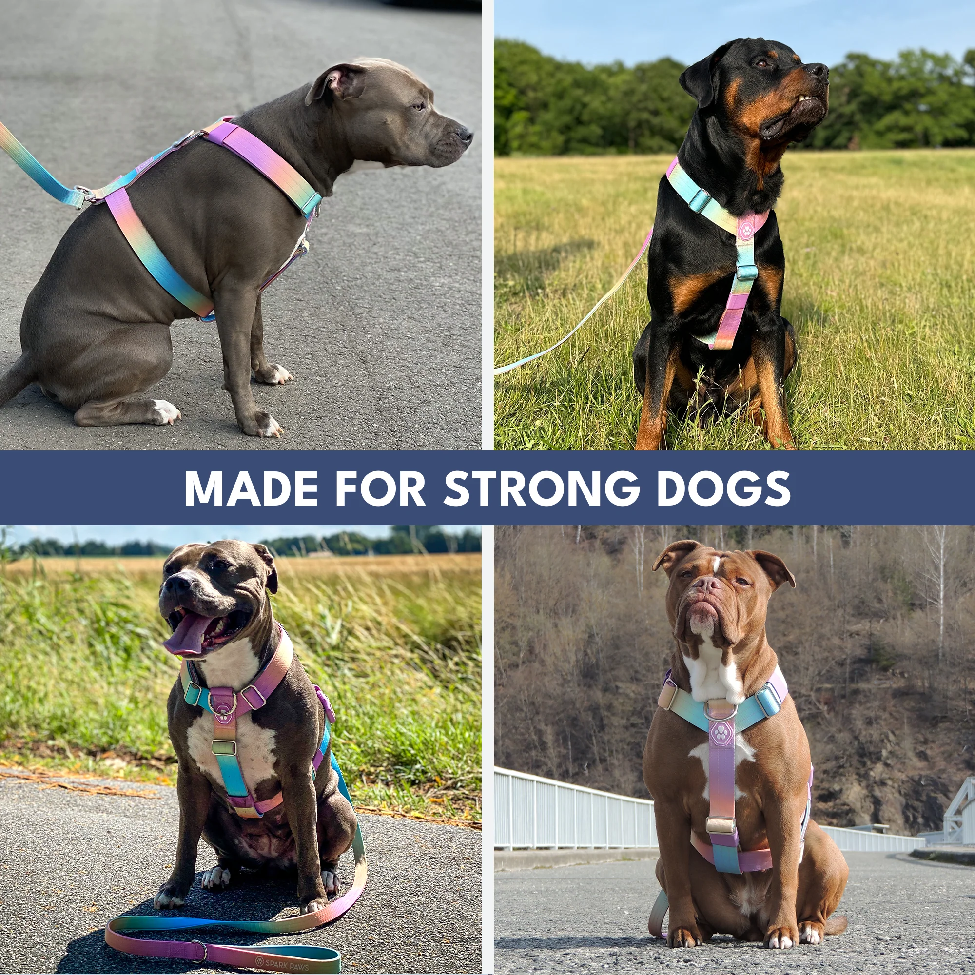 Comfort Control No-Pull Dog Harnesses - Image 15