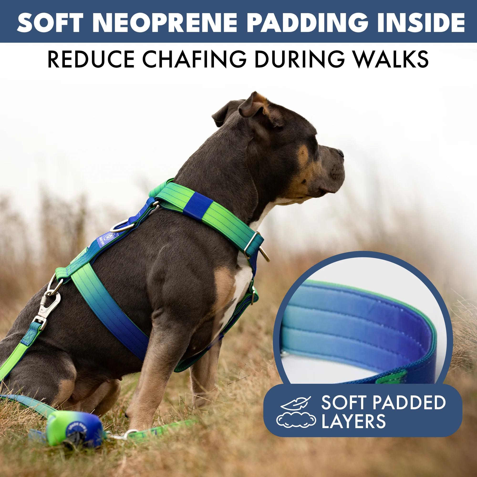 Comfort Control No-Pull Dog Harnesses - Image 21