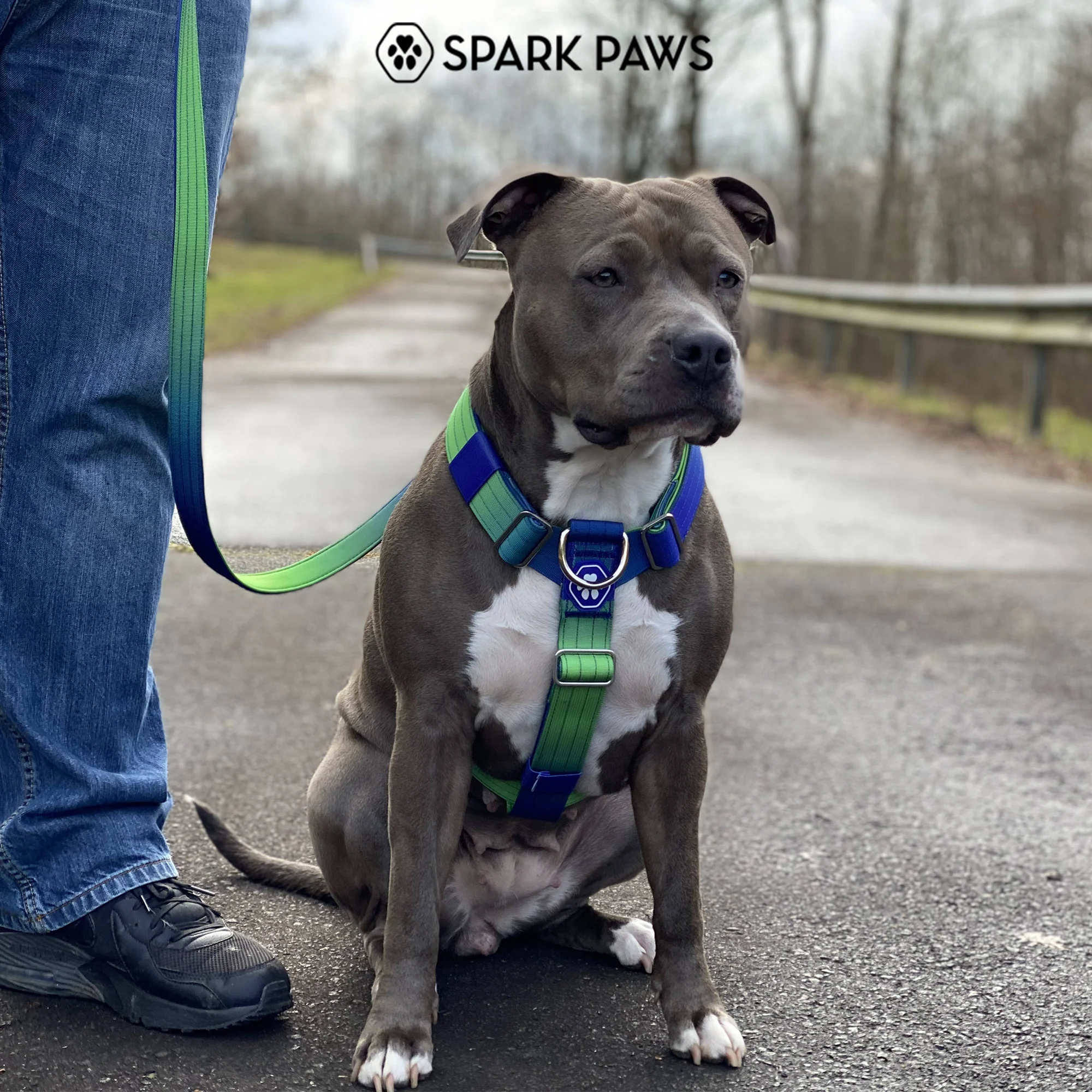 Comfort Control No-Pull Dog Harnesses - Image 24