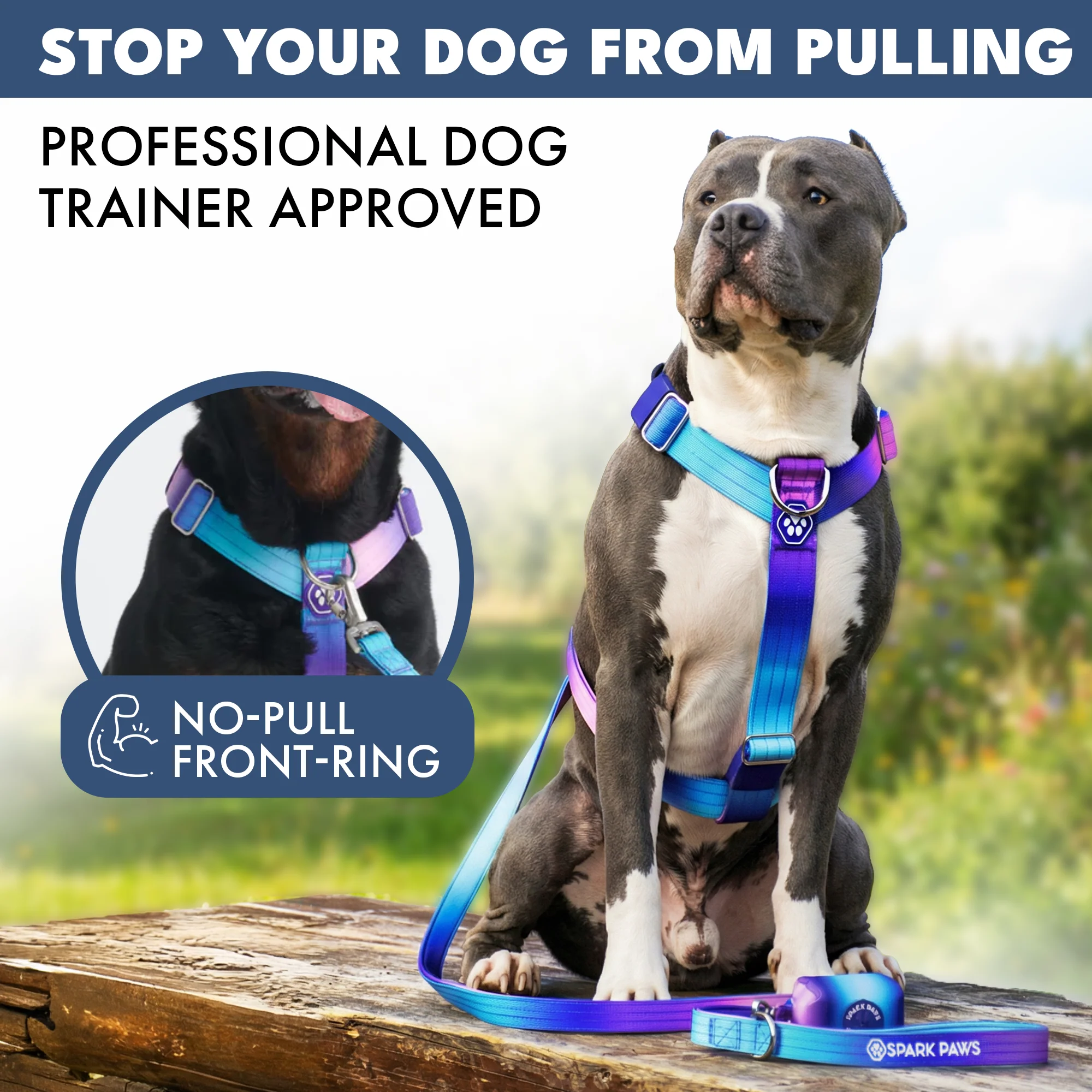 Comfort Control No-Pull Dog Harnesses - Image 3