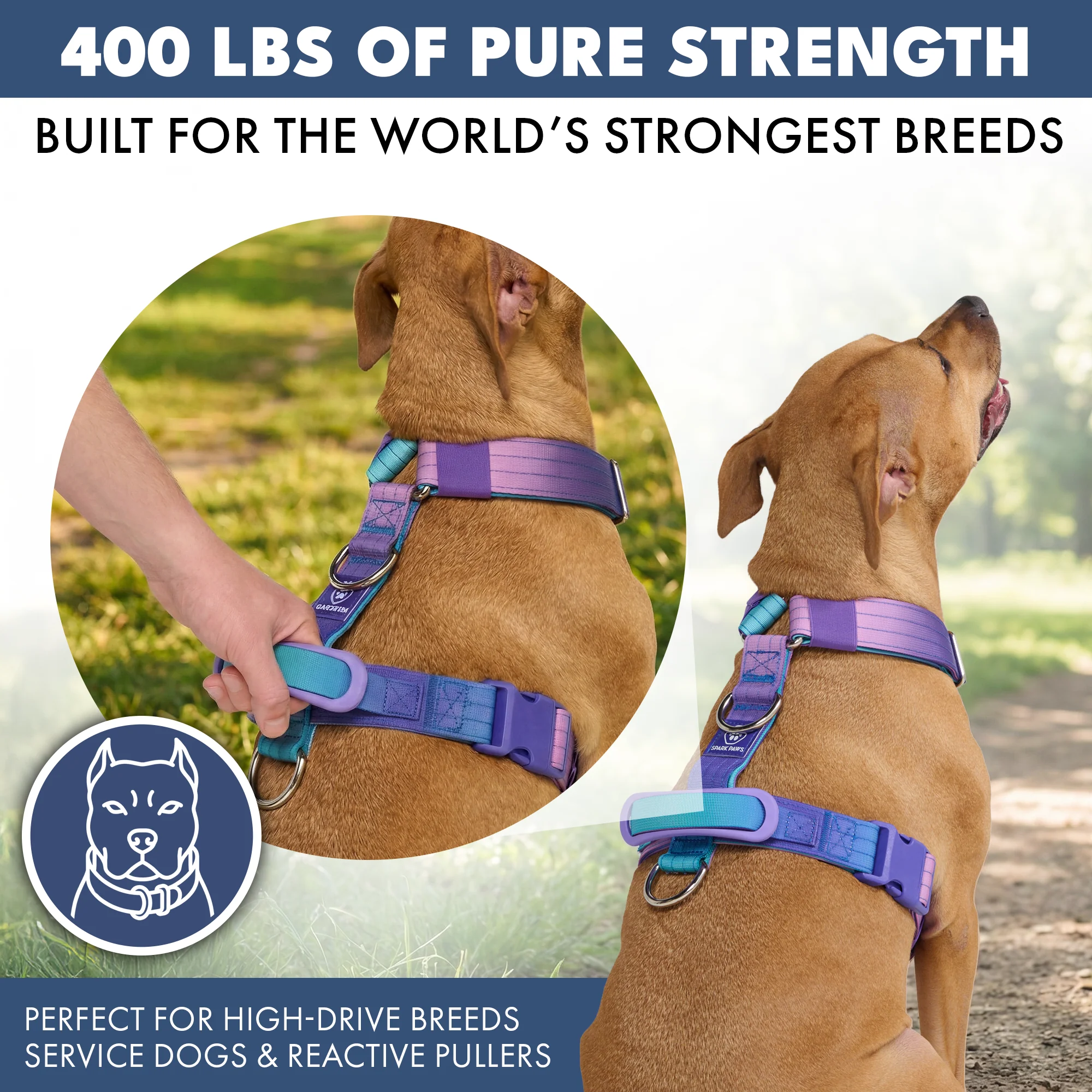 Comfort Control No-Pull Dog Harnesses - Image 4