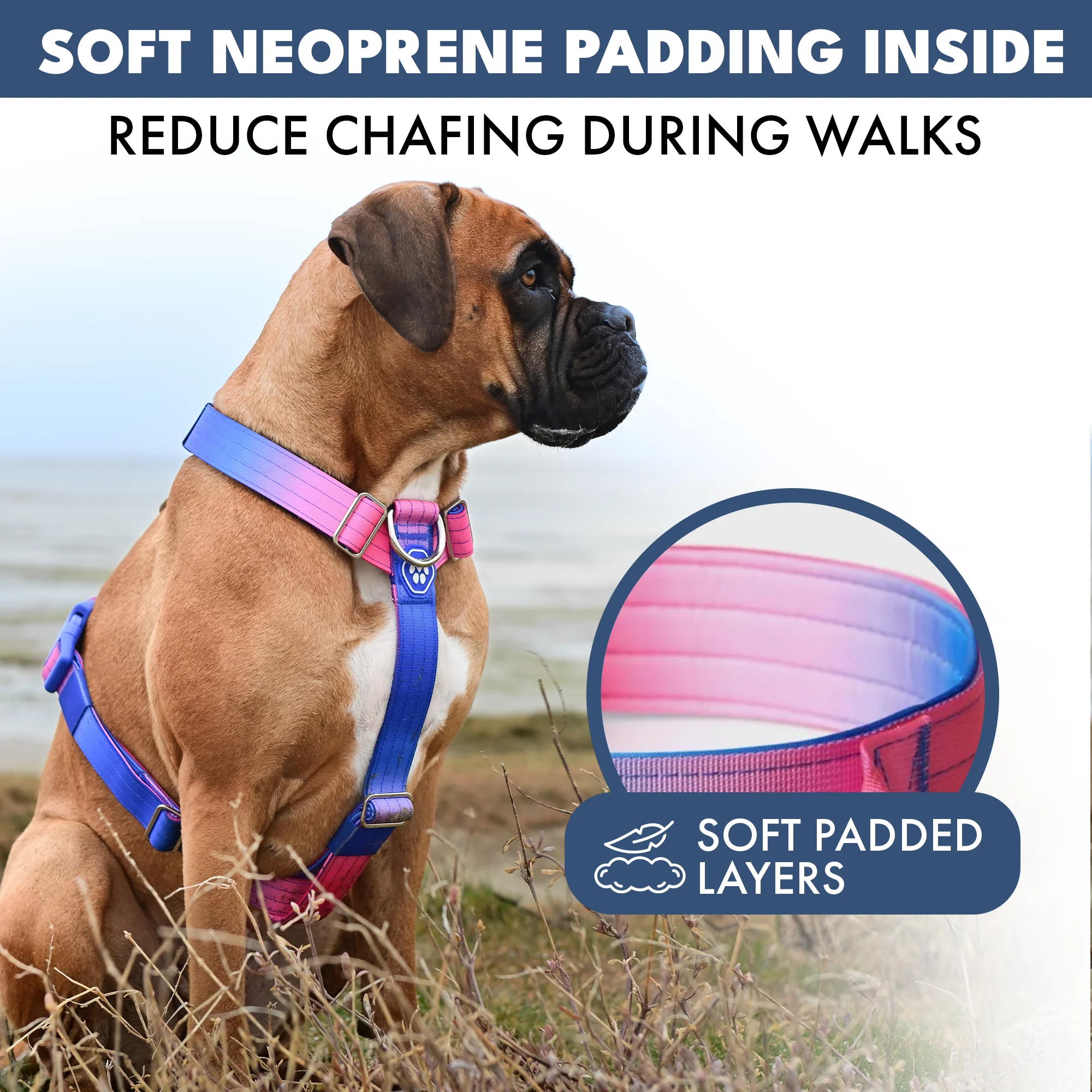 Comfort Control No-Pull Dog Harnesses - Image 46