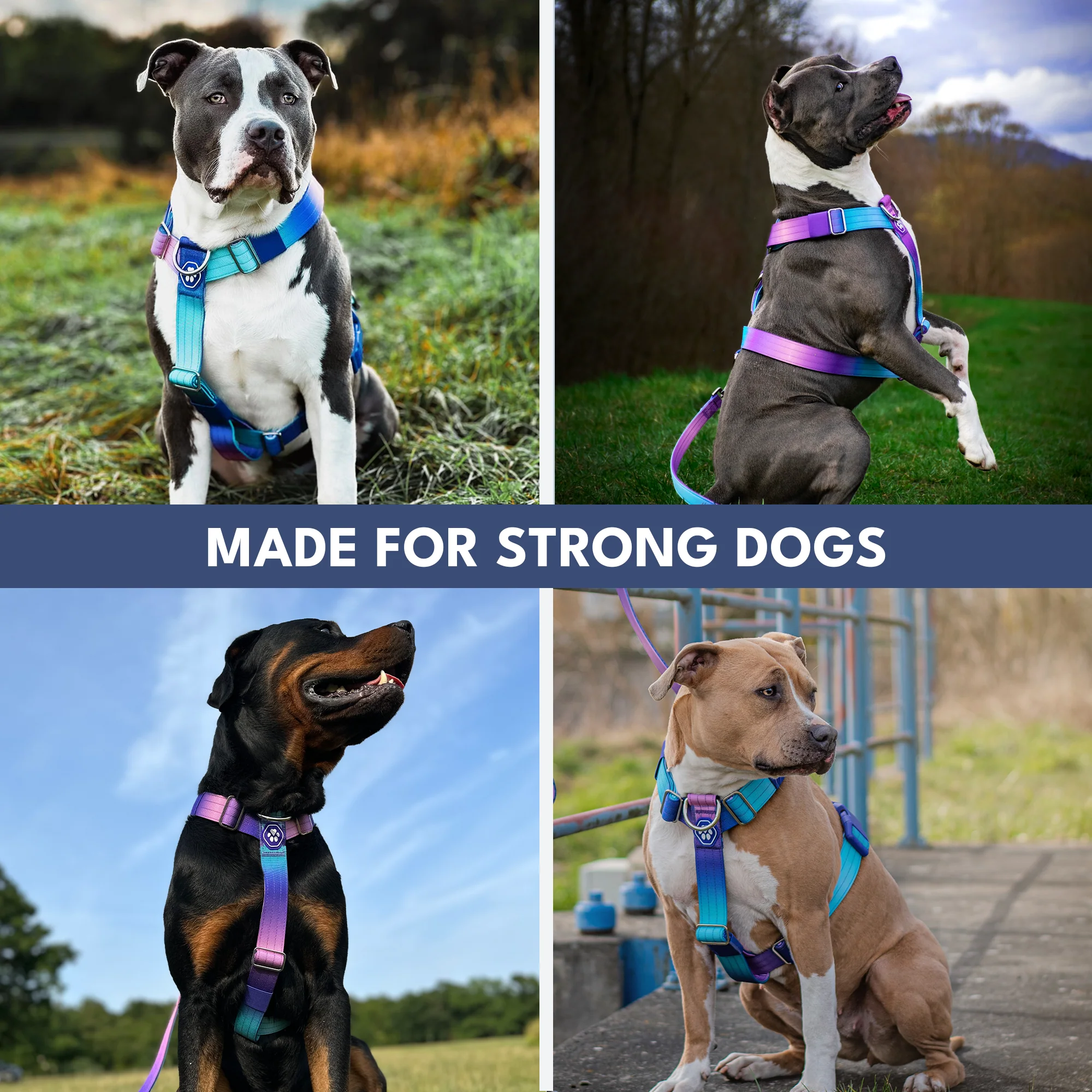 Comfort Control No-Pull Dog Harnesses - Image 7
