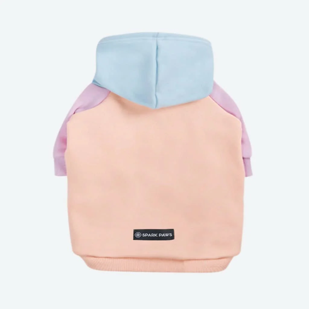 Cotton Candy Dog Hoodie - Image 9