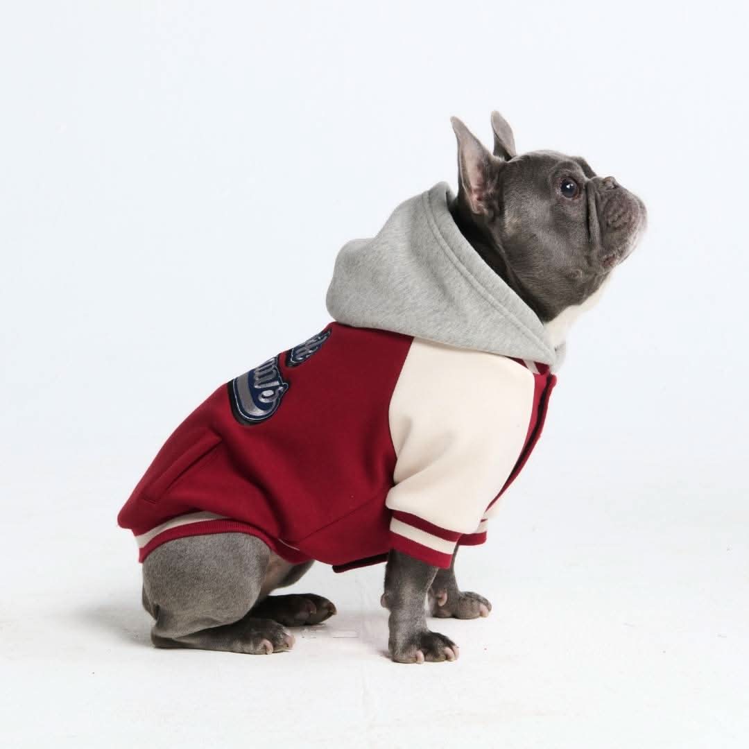 Dog Varsity Jacket - Red - Image 6