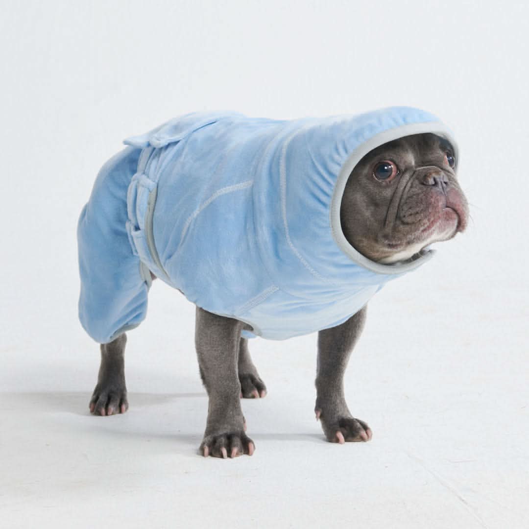 10 Minute Dry Dog Bathrobe - Image 9