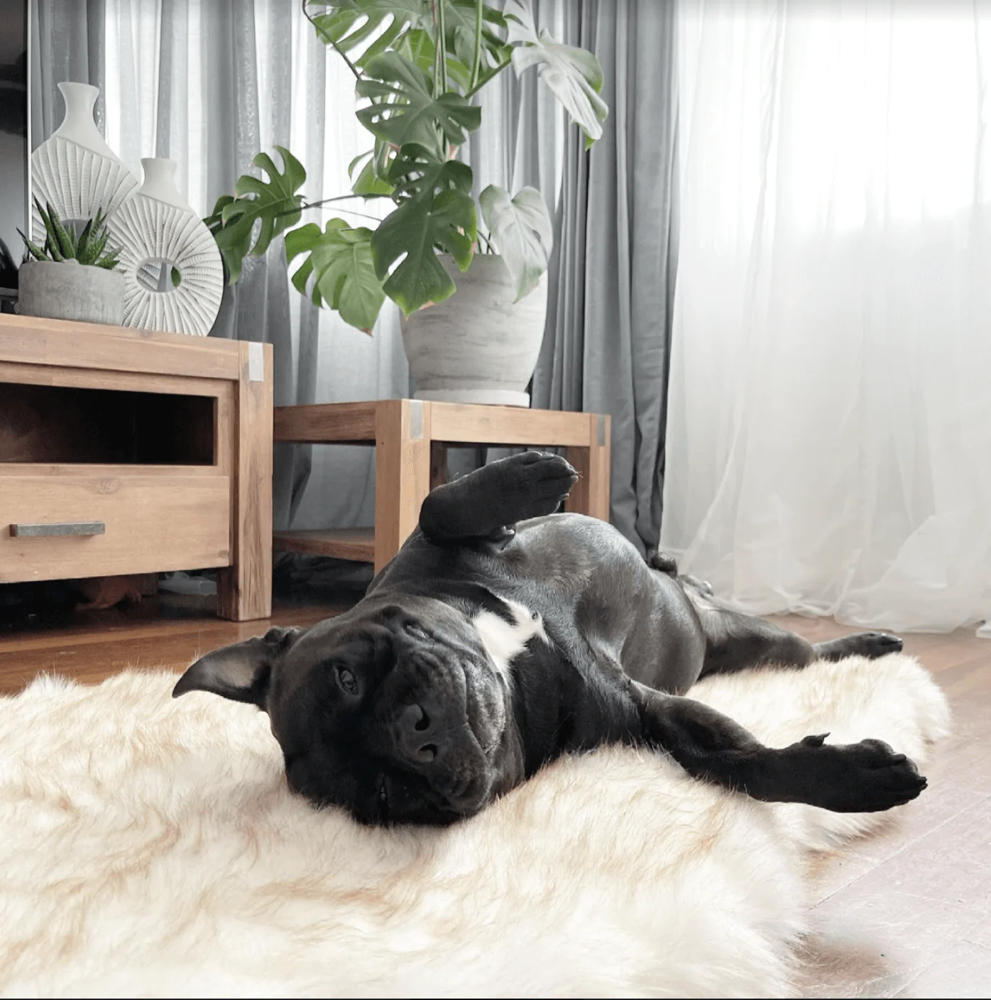 Faux Fur Memory Foam Rug Dog Bed - Image 5