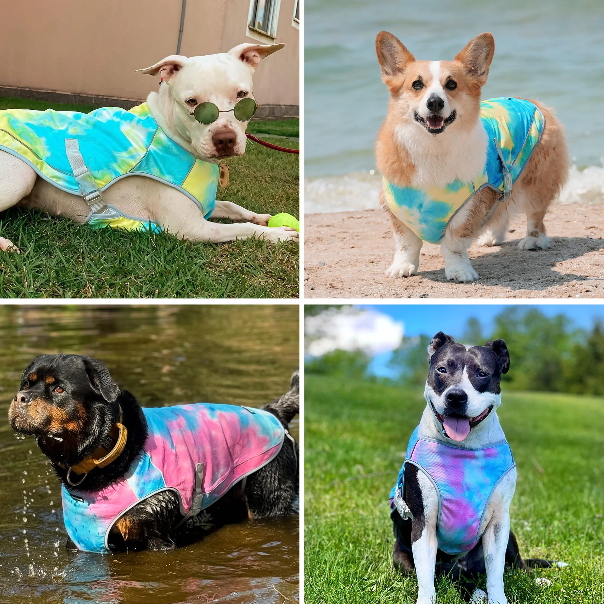 Chilltech™ Dog Cooling Vest 2 Pack - Image 22