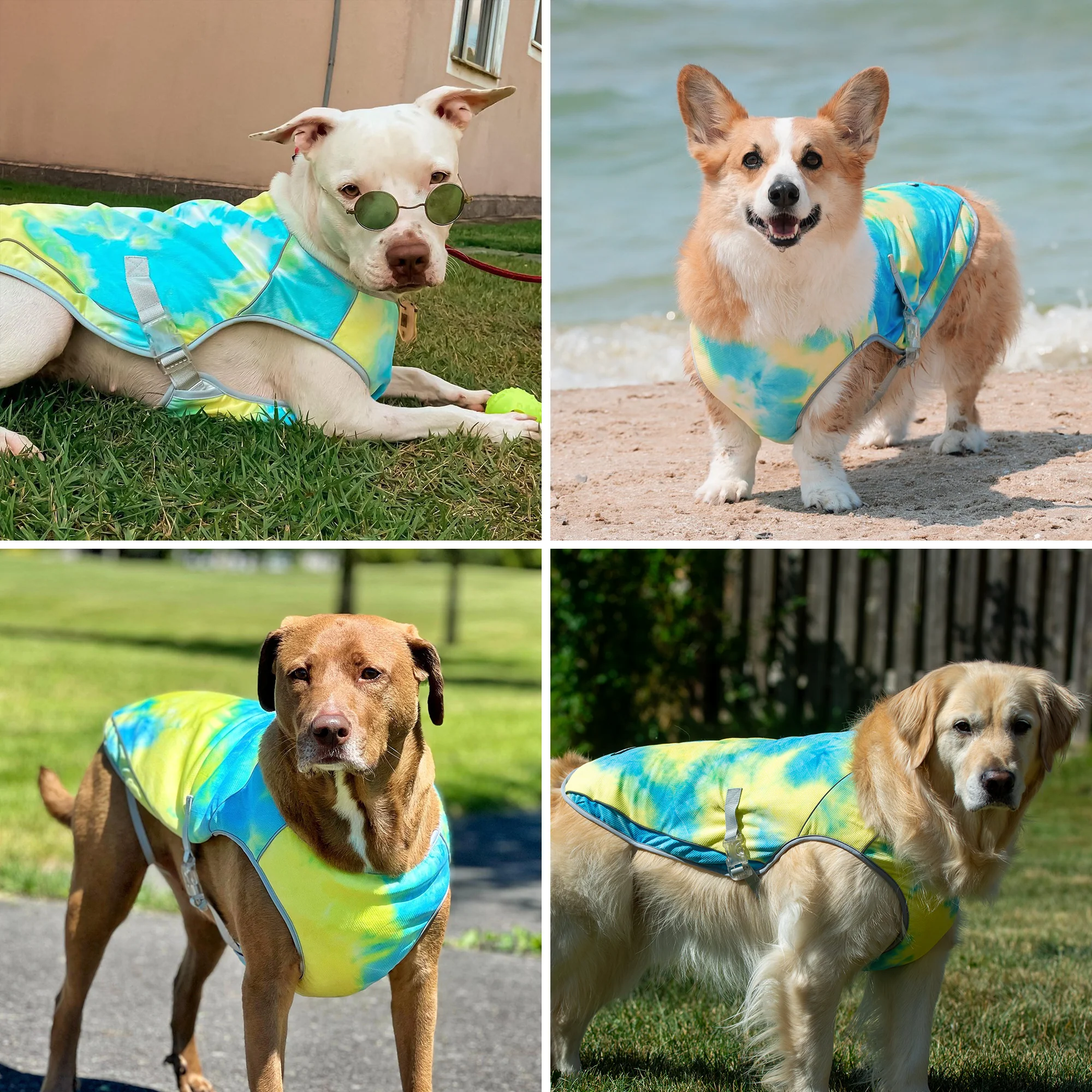 Dog Cooling Vest - Tropical Storm - Image 9