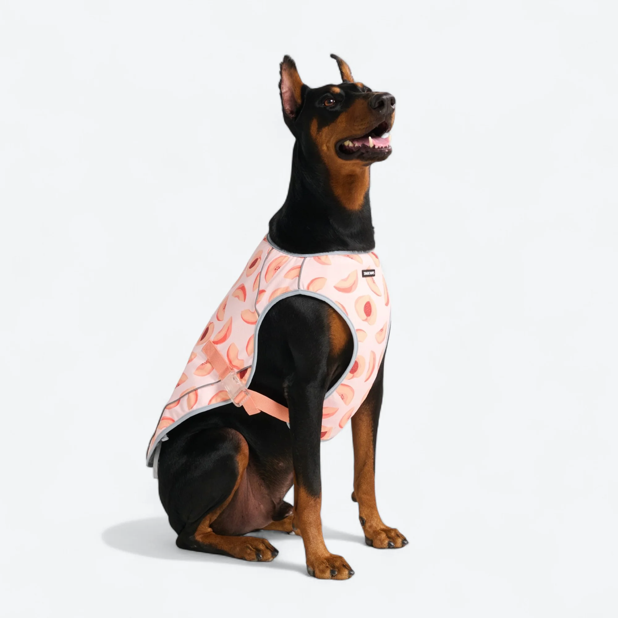 Dog Cooling Vest - Peaches - Image 4