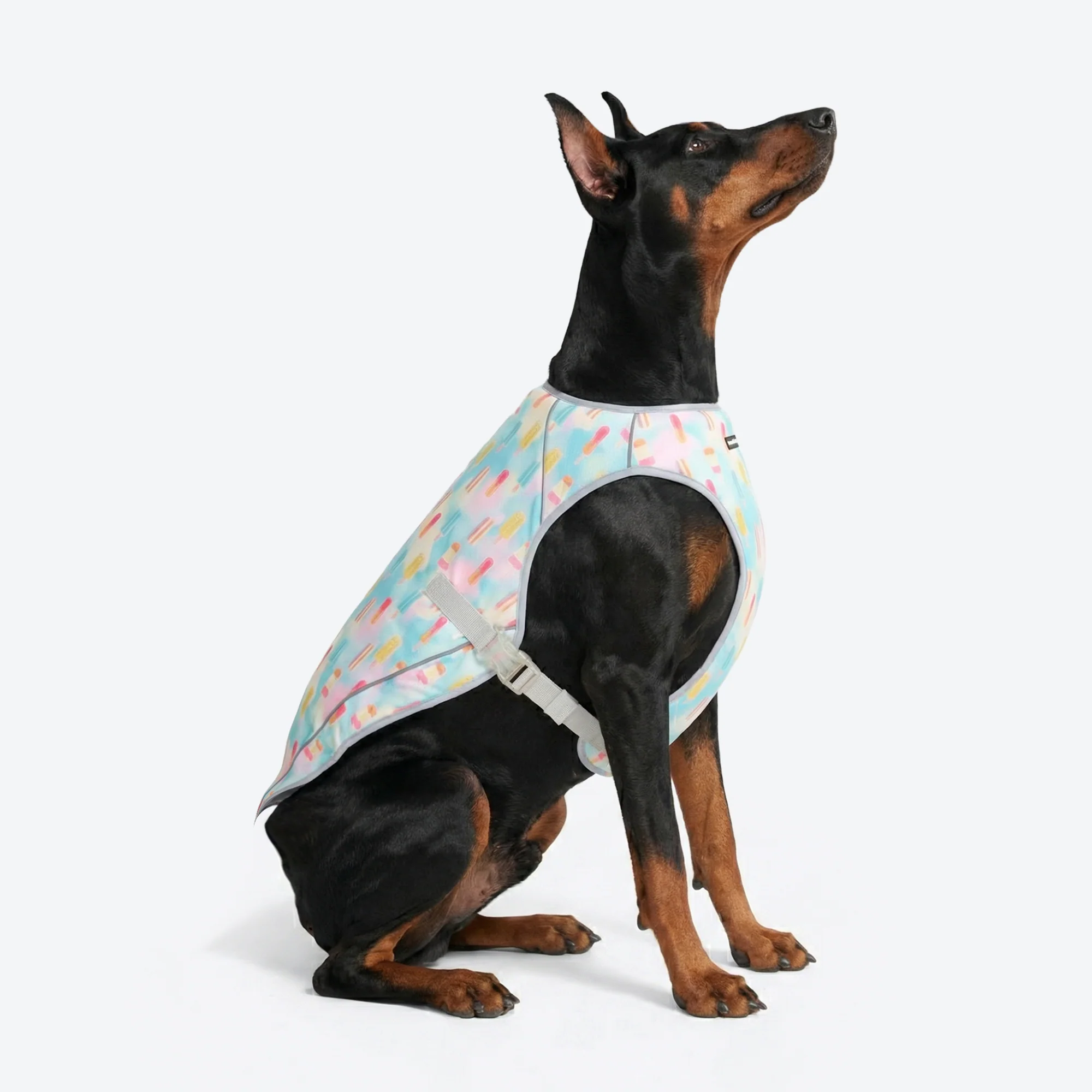 Dog Cooling Vest - Popsicles - Image 4