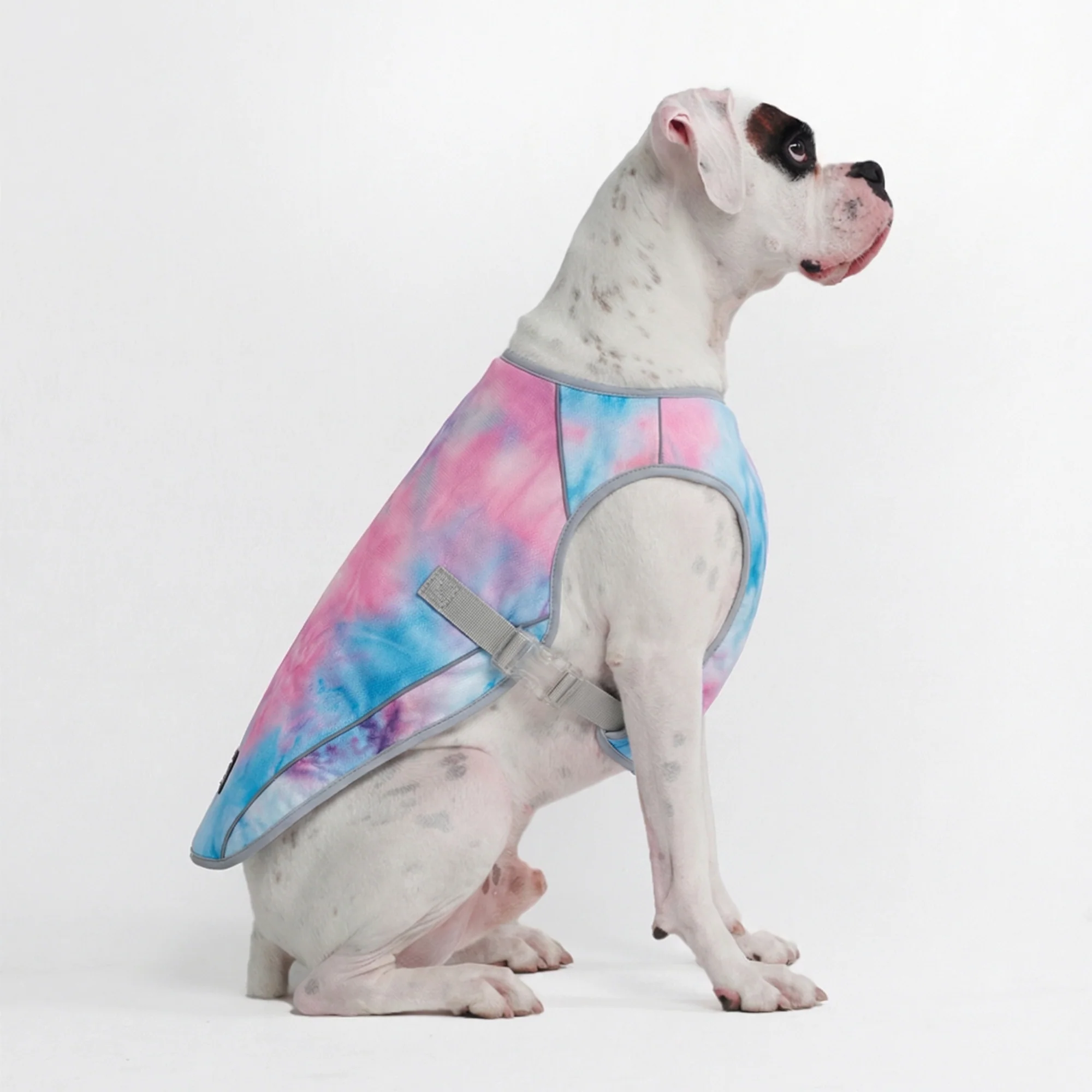Dog Cooling Vest - Snow Cone - Image 3