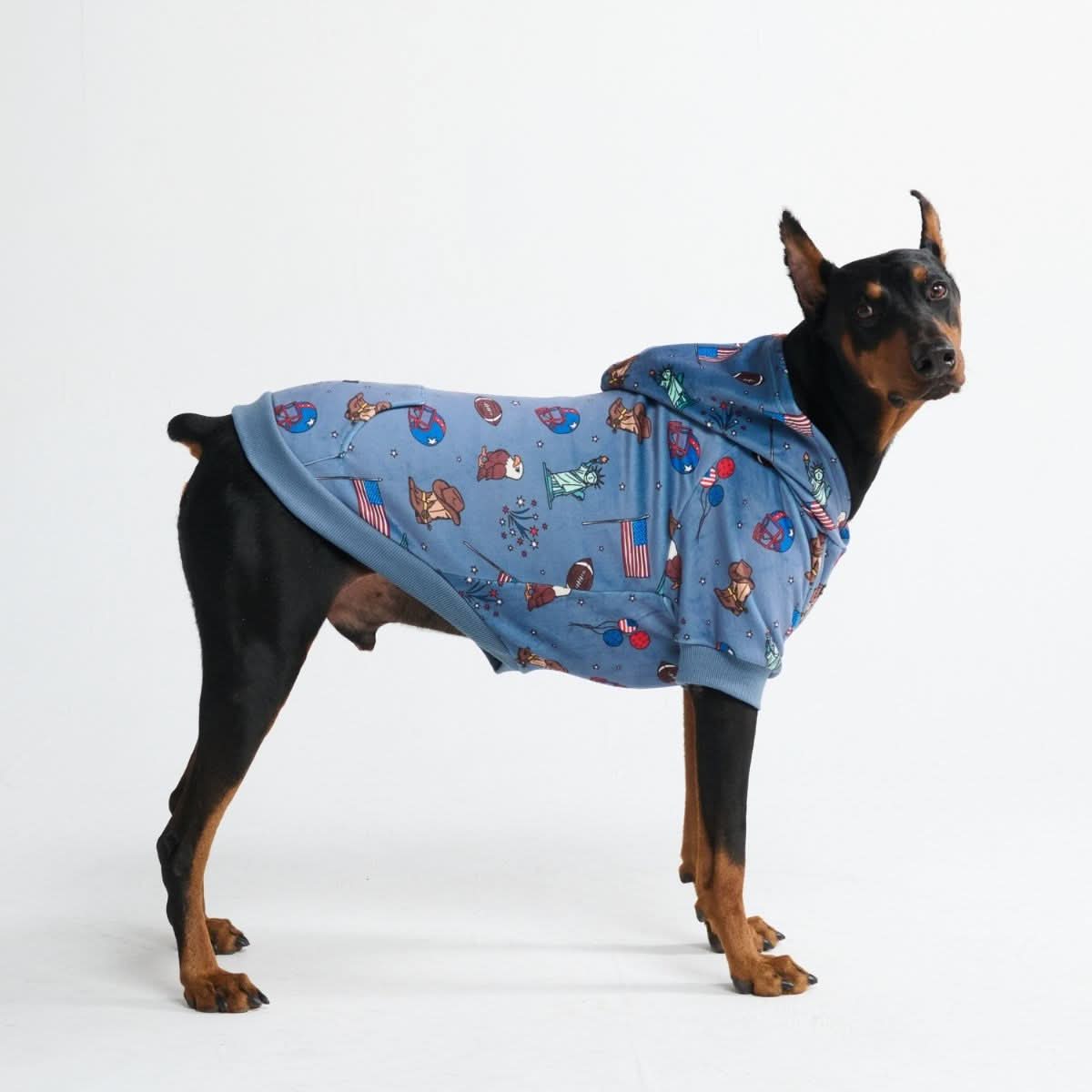 Around the World Dog Hoodies - Image 10