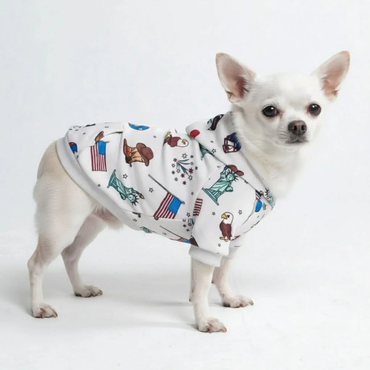 Around the World Dog Hoodies - Image 2