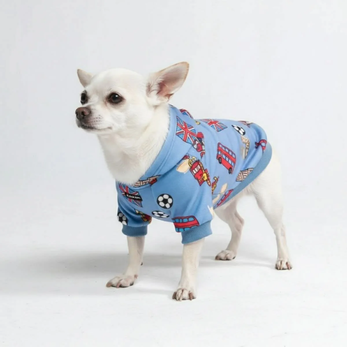 Around the World Dog Hoodies - Image 30