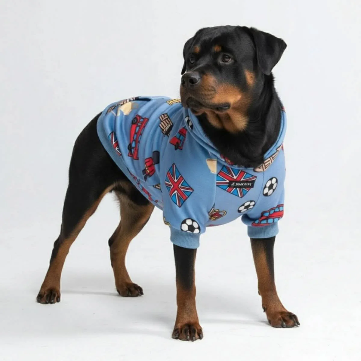 Around the World Dog Hoodies - Image 32