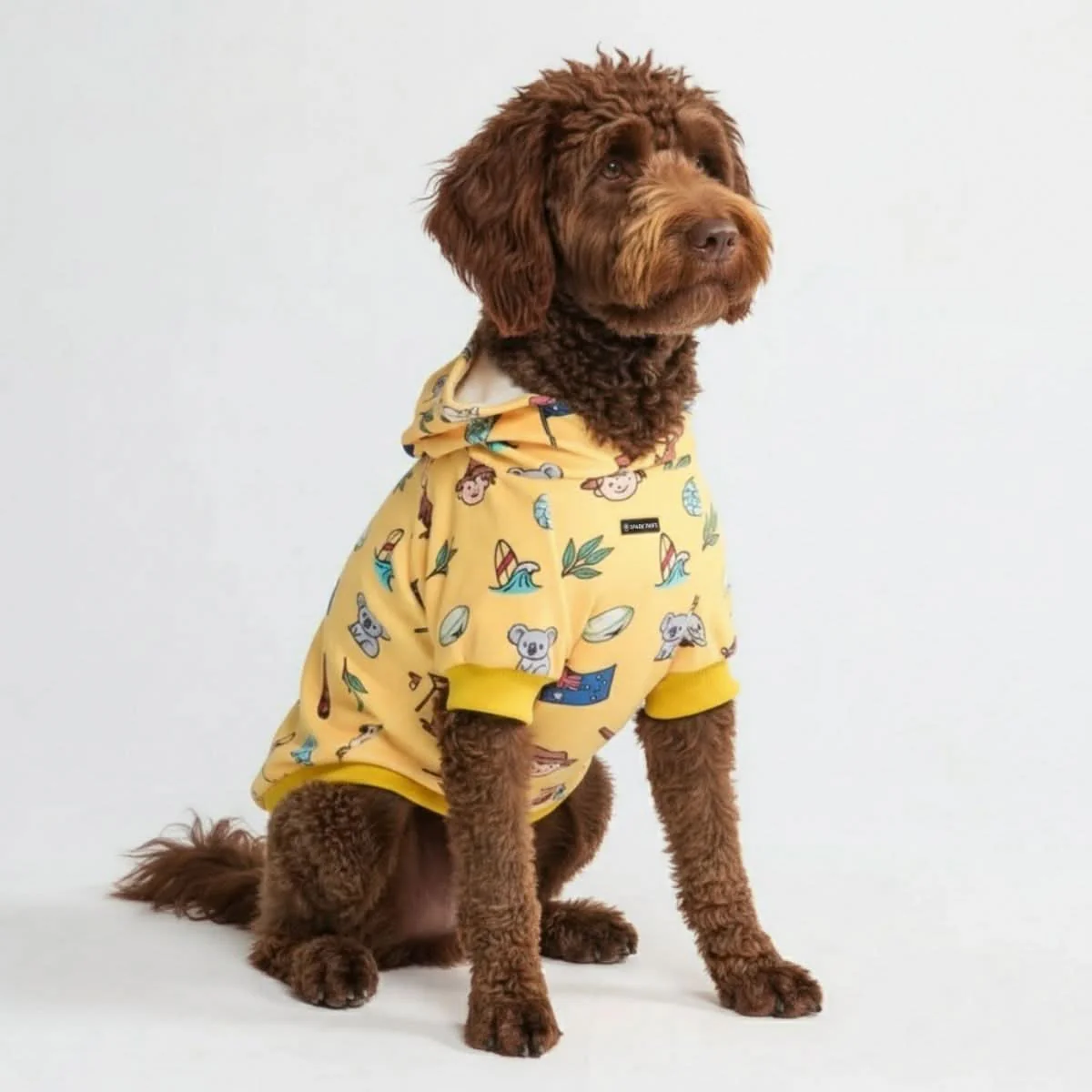 Around the World Dog Hoodies - Image 67