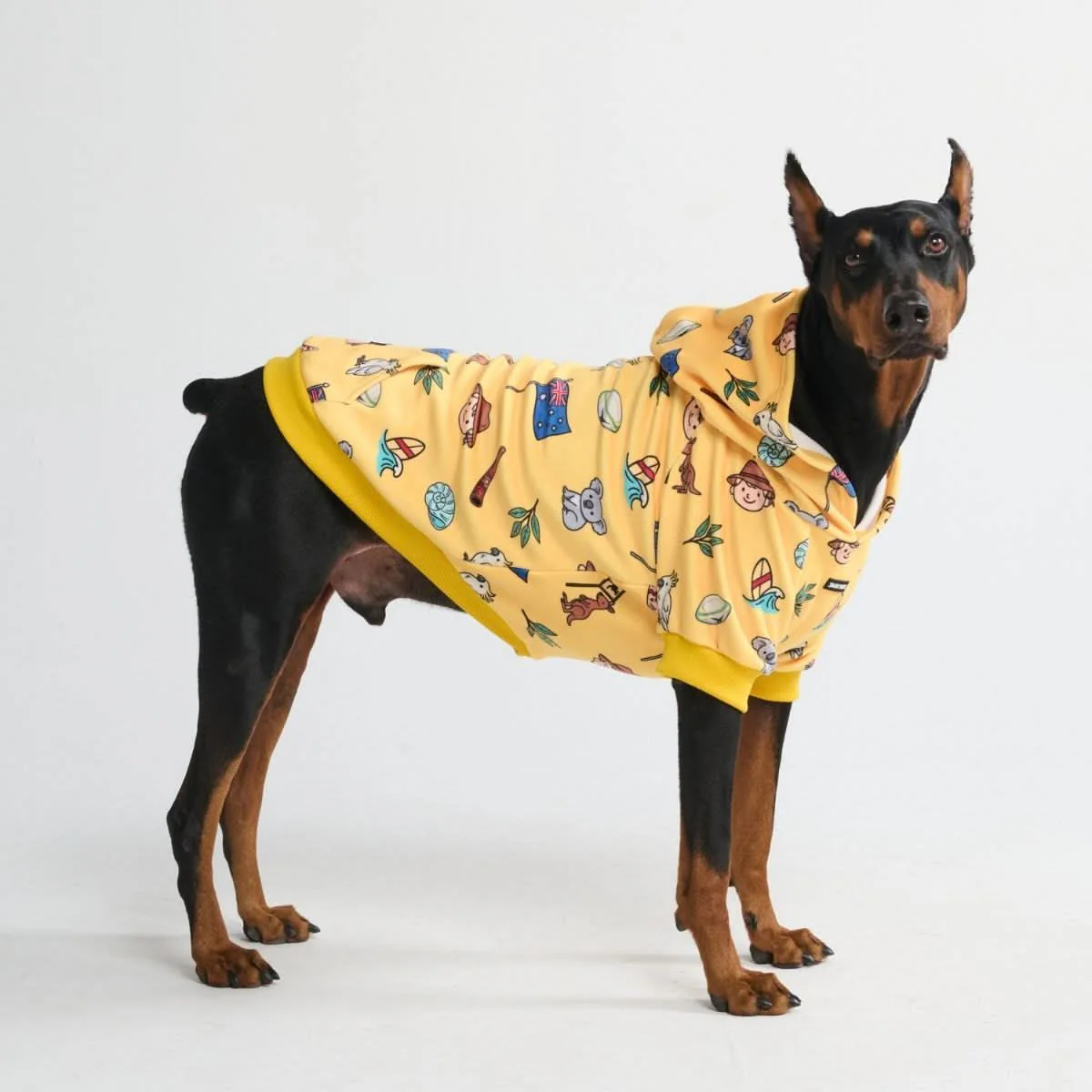 Around the World Dog Hoodies - Image 69