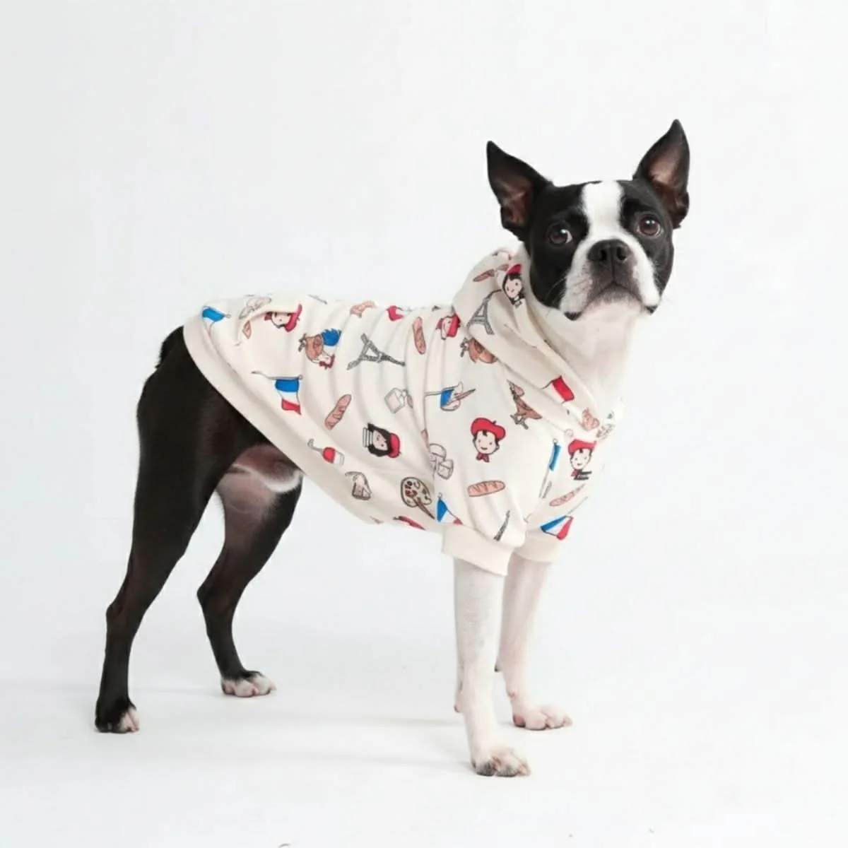 Around the World Dog Hoodies - Image 85