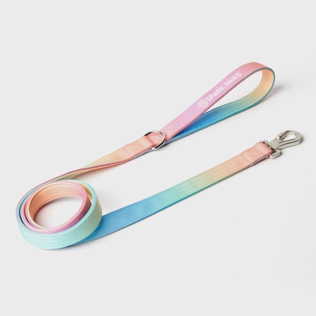 Leash and Poop Bag Holder Set - Image 11