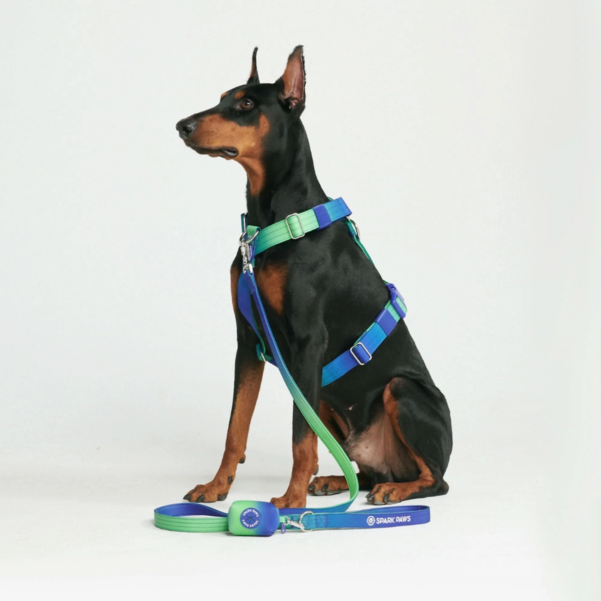 Leash and Poop Bag Holder Set - Image 16