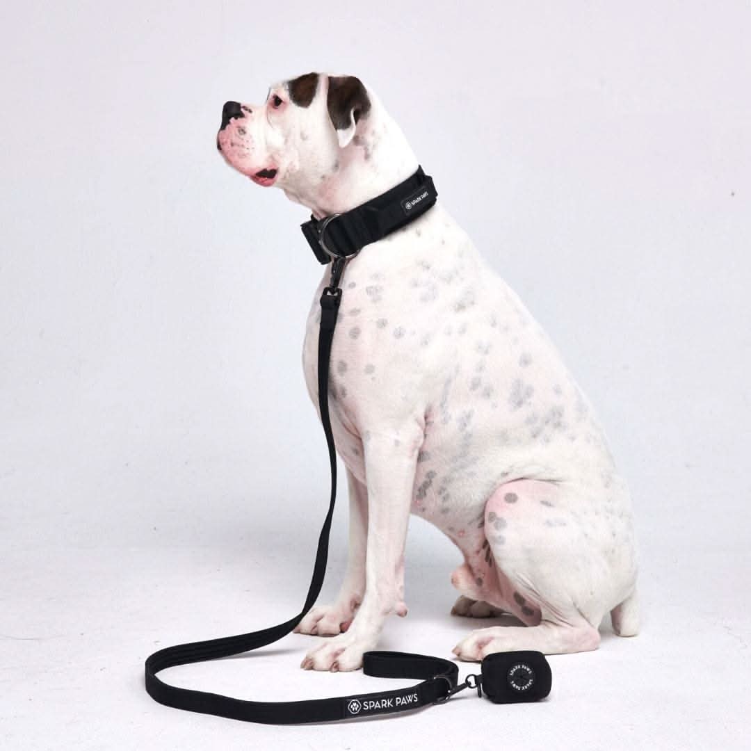 Leash and Poop Bag Holder Set - Image 20