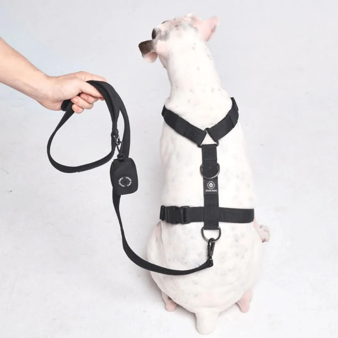 Leash and Poop Bag Holder Set - Image 21