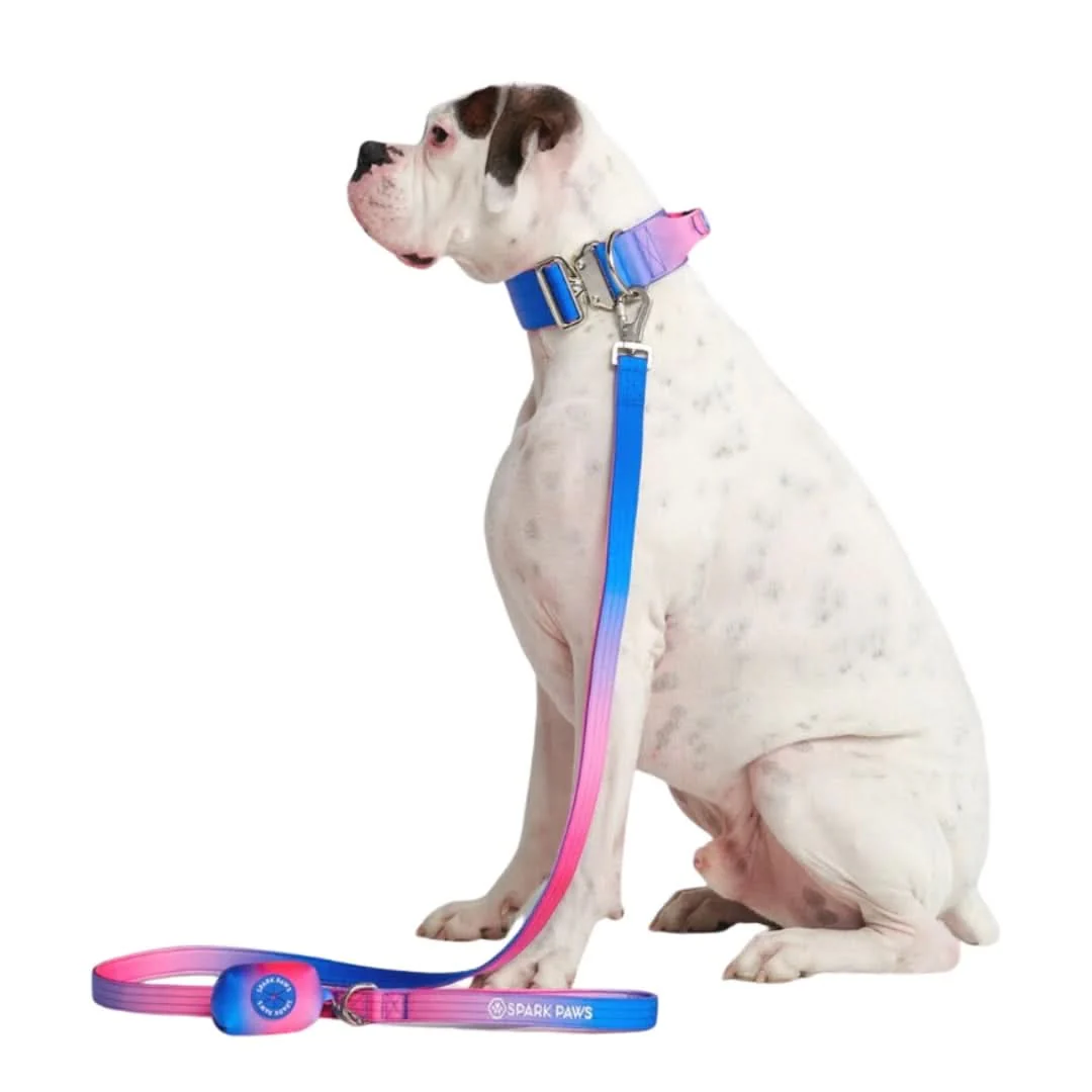 Leash and Poop Bag Holder Set - Image 33