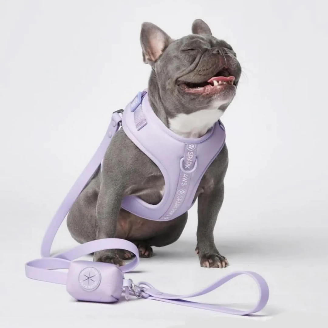 Leash and Poop Bag Holder Set - Image 41